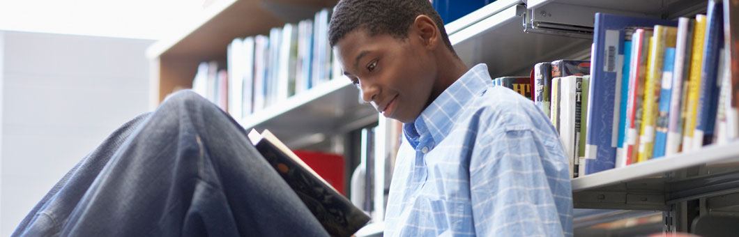 Dictionaries, Reference, and Help Guides